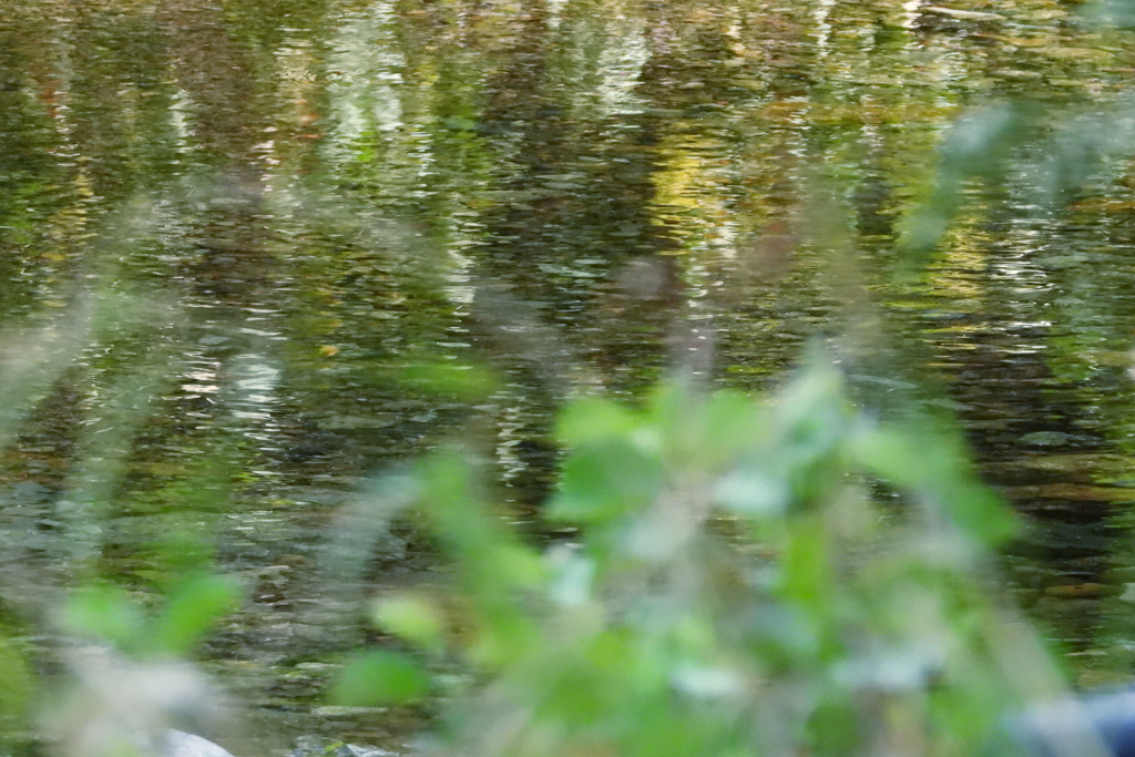 猛暑に涼あり　四