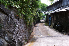 人口三人の島