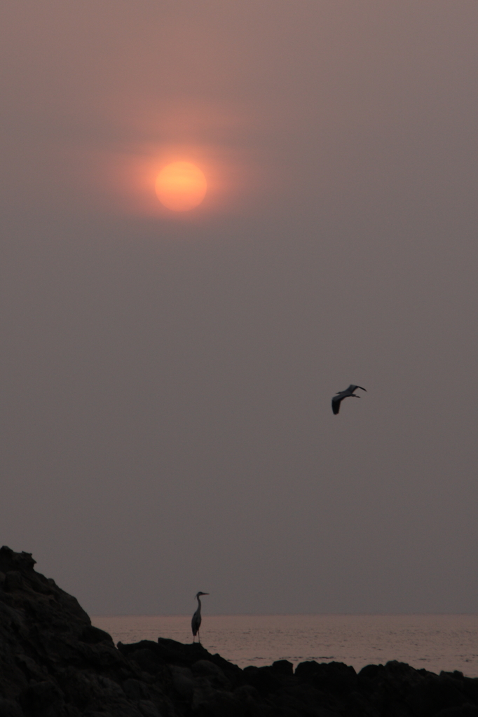 朧な夕陽Ⅴ