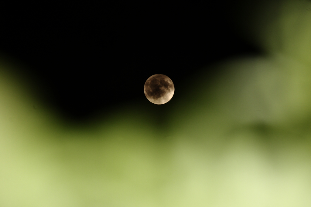昨夜のお月さまⅡ