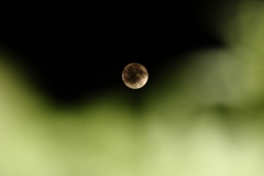 昨夜のお月さまⅡ