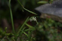 近所のモデルさん　ⅳ