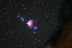 今季初のM42