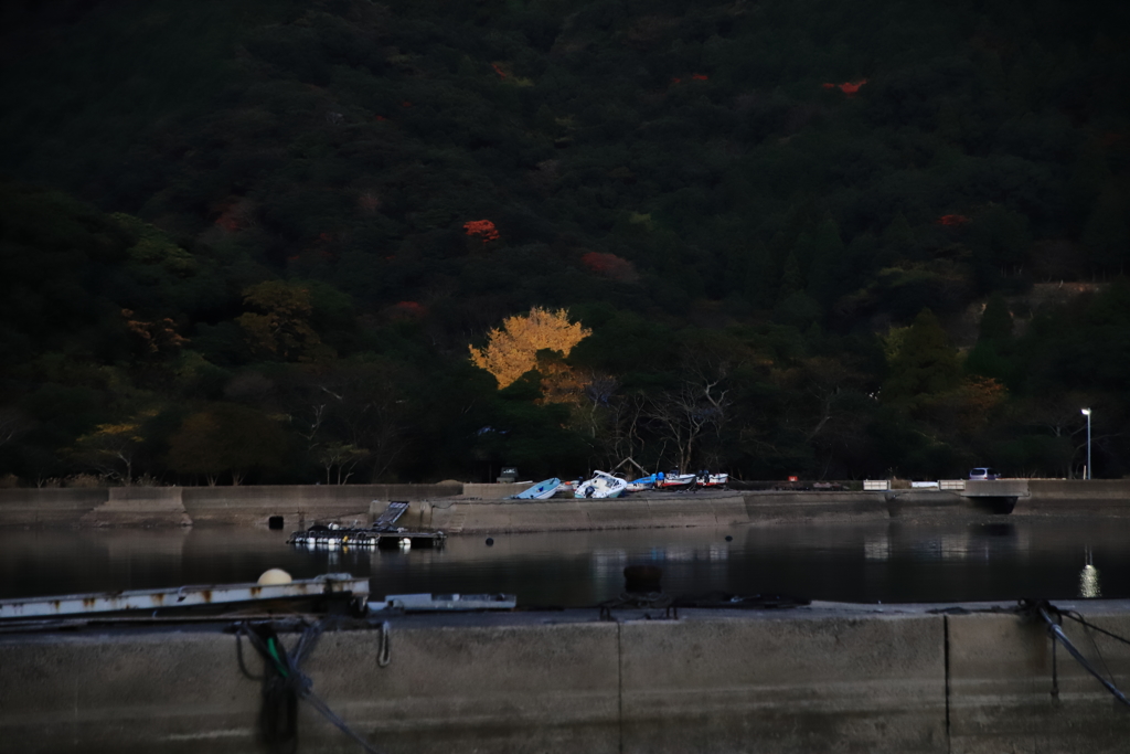 漁村の紅葉