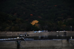 漁村の紅葉