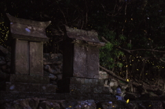 時過ぎて・・・