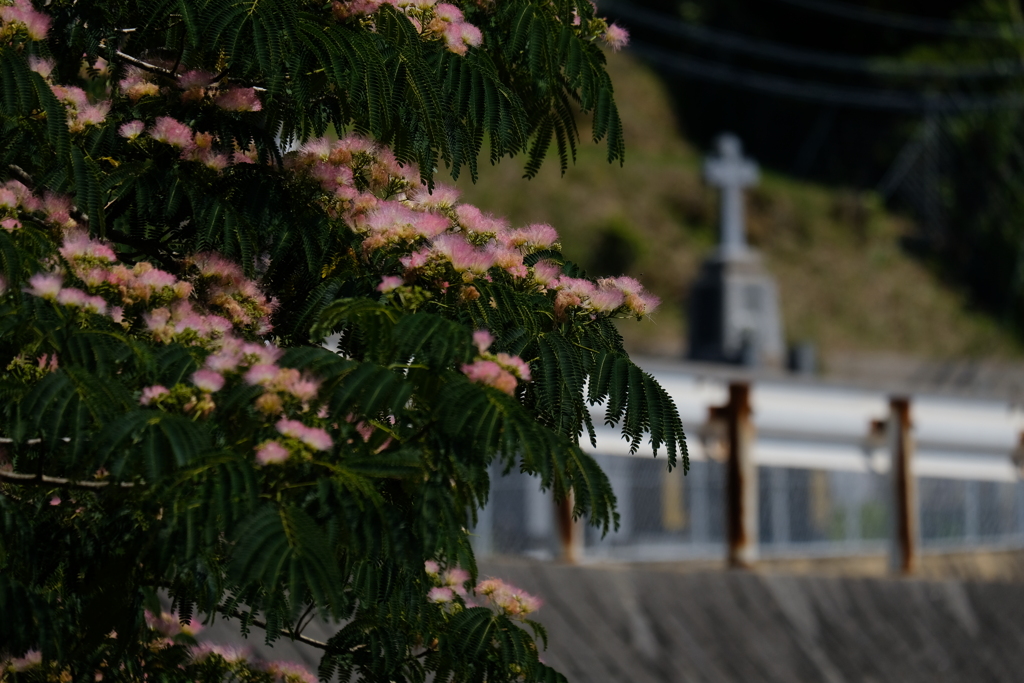 ネムの花　ⅰ
