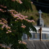 ネムの花　ⅰ