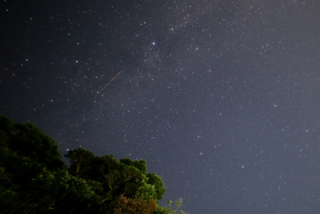 ペルセウス流星群