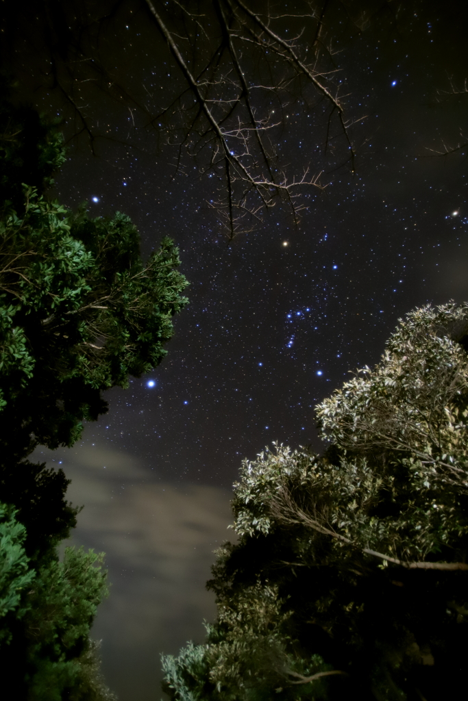 久々の星空ⅰ
