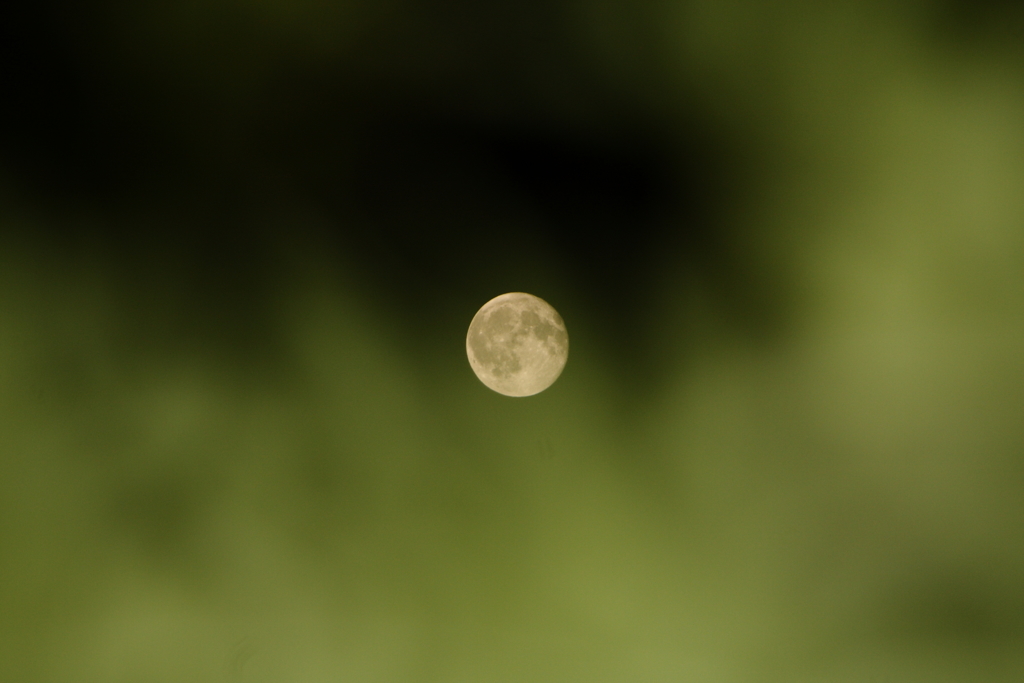 今宵の月も綺麗ですⅢ