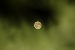 今宵の月も綺麗ですⅢ