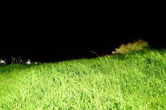 夜の運動公園Ⅳ