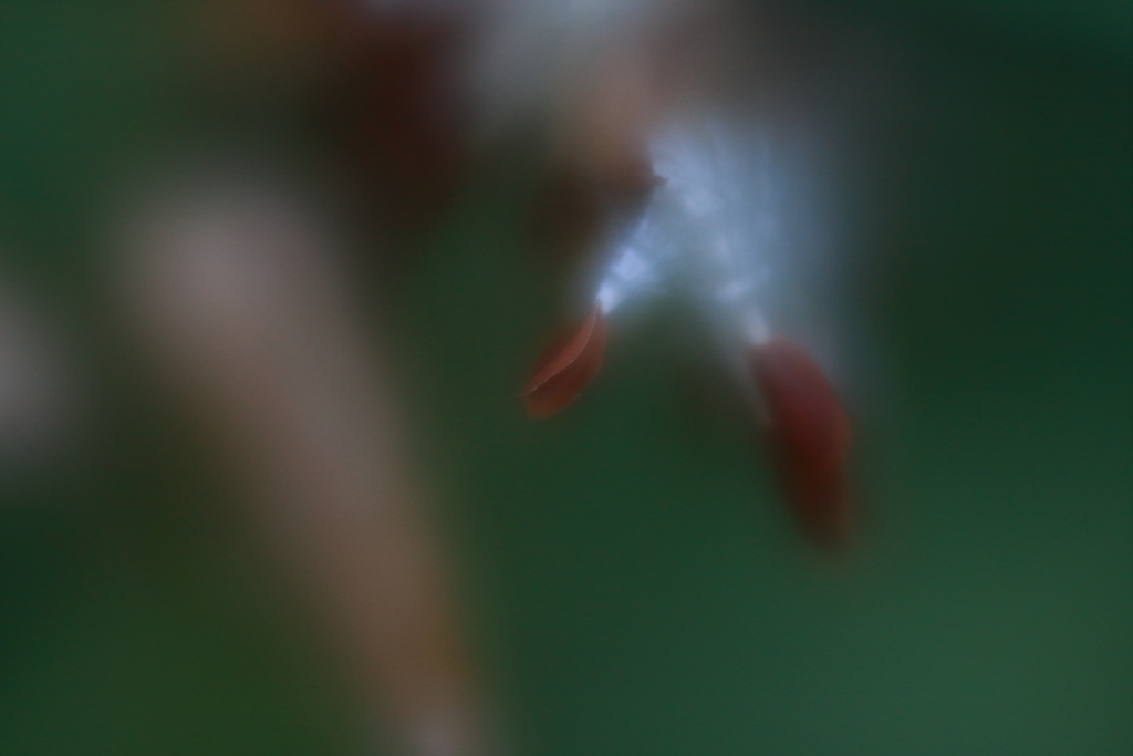 旅立ちの時　ⅱ