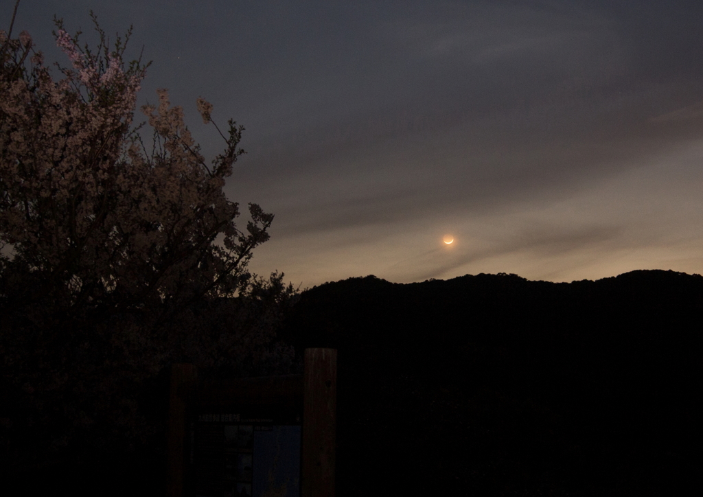 星たちが輝く前に