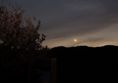 星たちが輝く前に