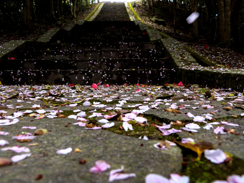 花散る石段Ⅱ