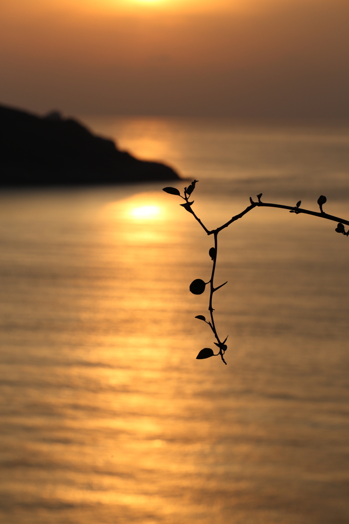 春の海Ⅱ