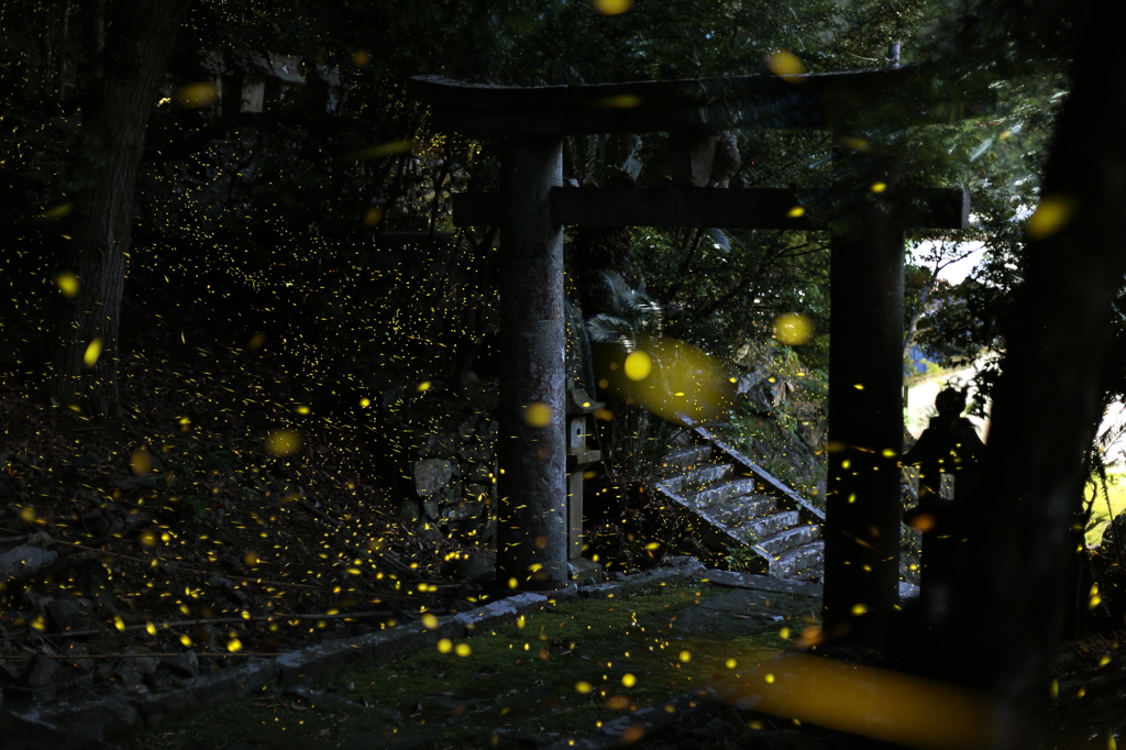 舞を奉納するお姫様