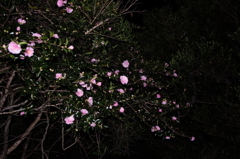 夕暮れの中に