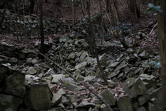 荒廃地　Ⅴ
