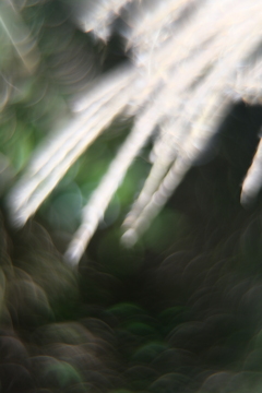 不思議の国の・・・　弐