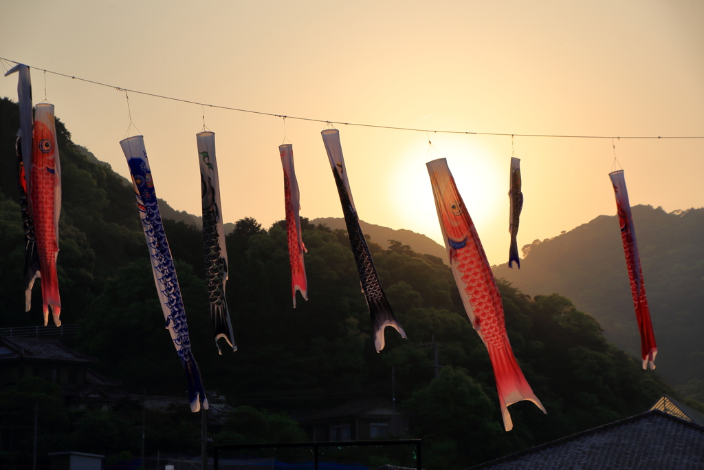 夕焼け空の鯉のぼり　ⅰ