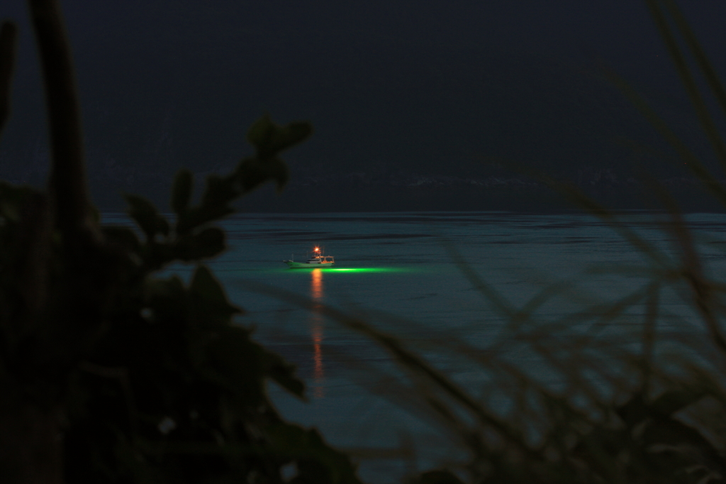 夜焚漁