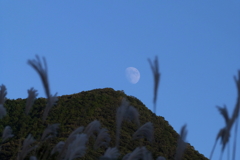 月齢10.5Ⅲ