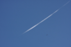 雲三態　　飛行機雲とトンボ