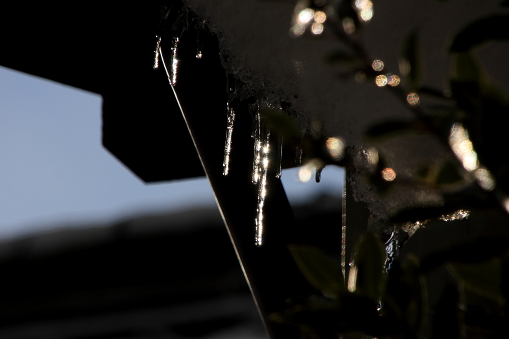 積雪の名残　ⅰ