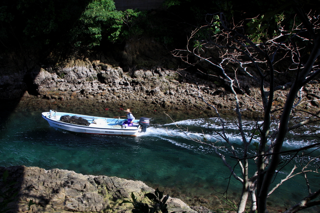 帰って来た夏Ⅱ