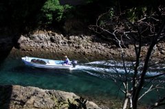 帰って来た夏Ⅱ