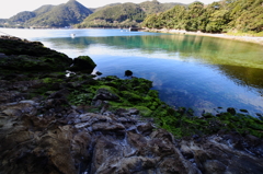 春の海Ⅲ