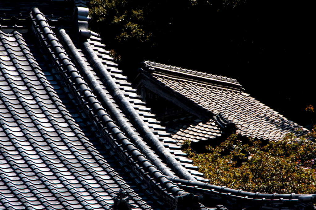 春の日射しを受けてⅠ