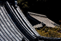 春の日射しを受けてⅠ