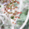 季節の境目Ⅳ