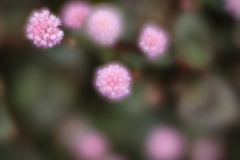 寒は戻れど道端に　参