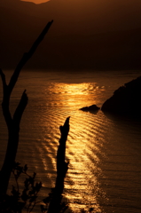 朝日を浴びてⅡ