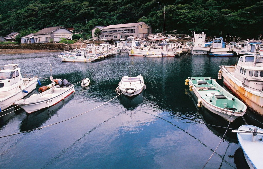 フィルムカメラで　ⅱ