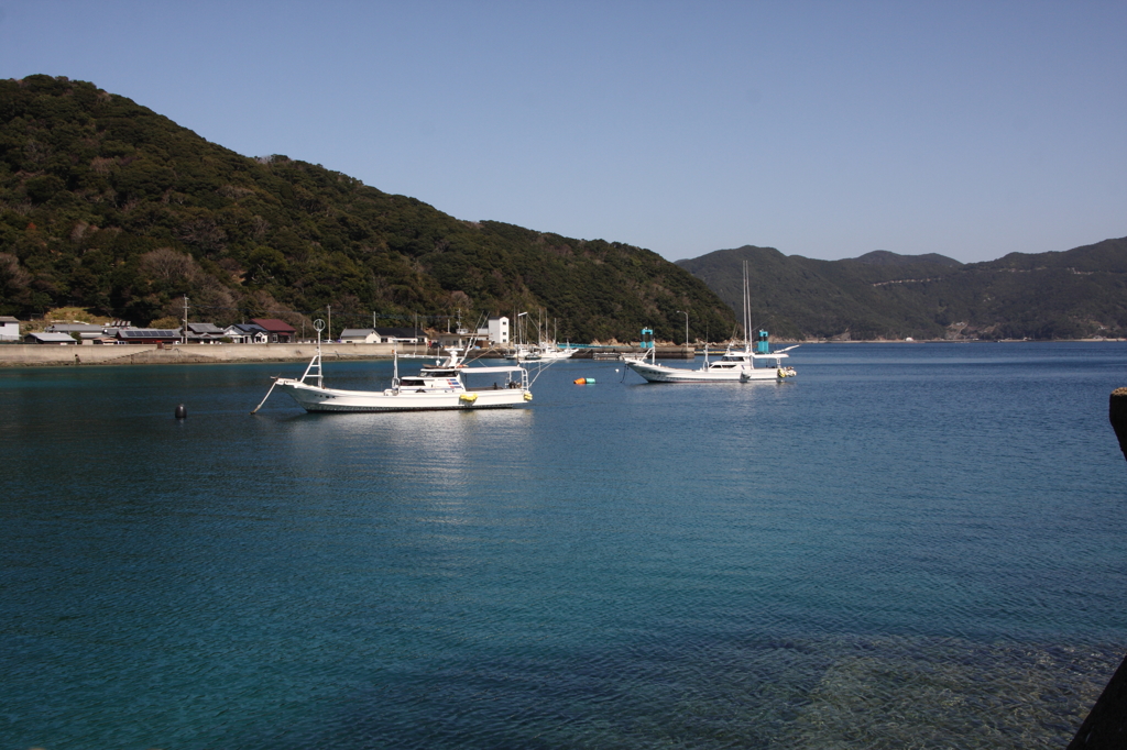 島の春Ⅳ