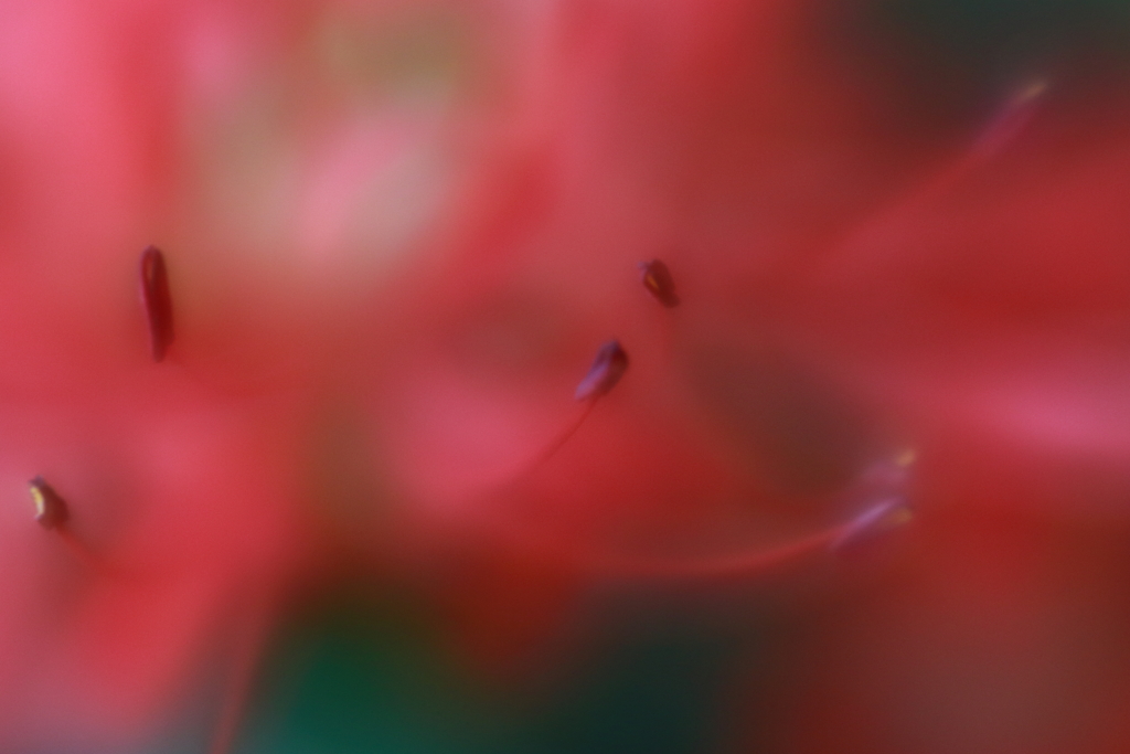 ソフトな秋　ⅲ