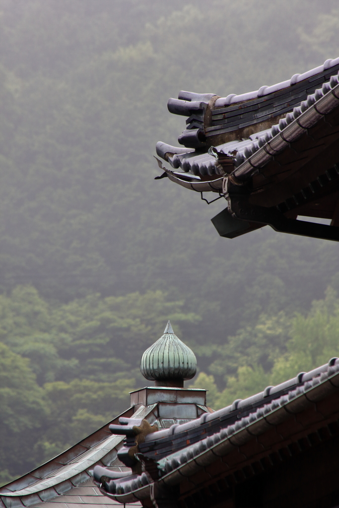 雨上がりの午後　ⅱ