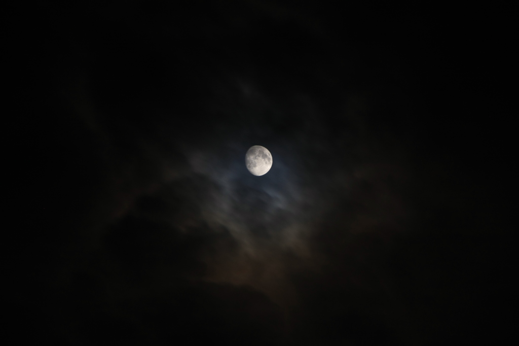 もうすぐ仲秋の名月　　晴れるといいな～