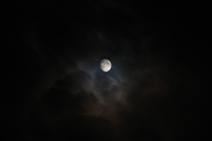 もうすぐ仲秋の名月　　晴れるといいな～