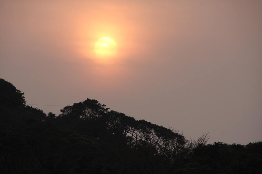 朧な夕陽
