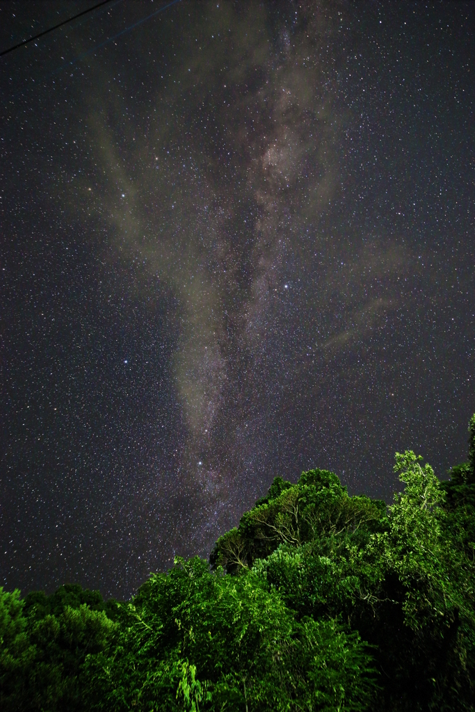 ご神木上の天の川
