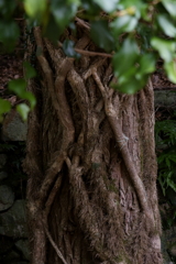 徒然なるままに　弐