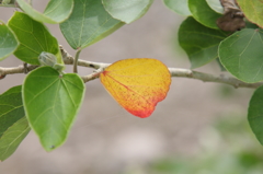 今日も一日暑かったⅡ