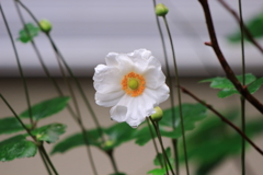 雨の日は・・・Ⅲ